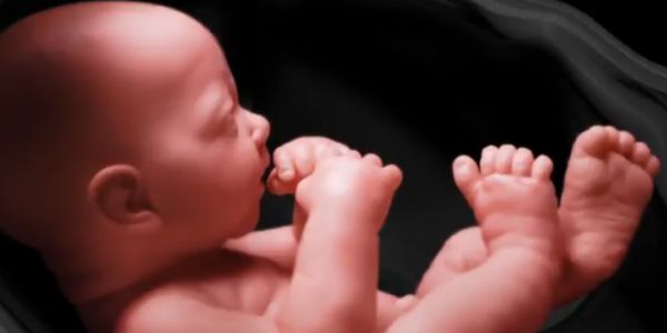 Abortion advocates melt down after federal court upholds coronavirus abortion ban 1
