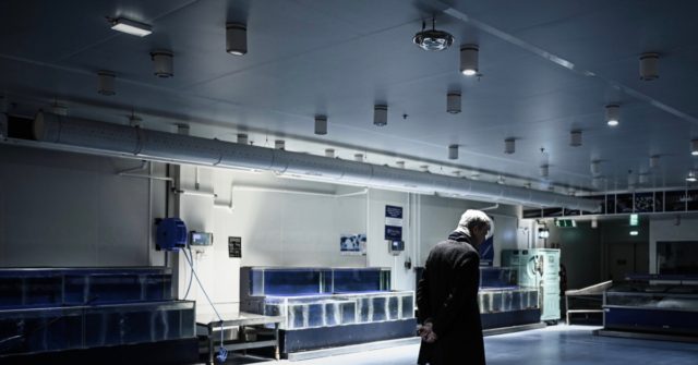 Coronavirus Shutdown: At Least One Million Jobs Lost in Europe in Two Weeks 1