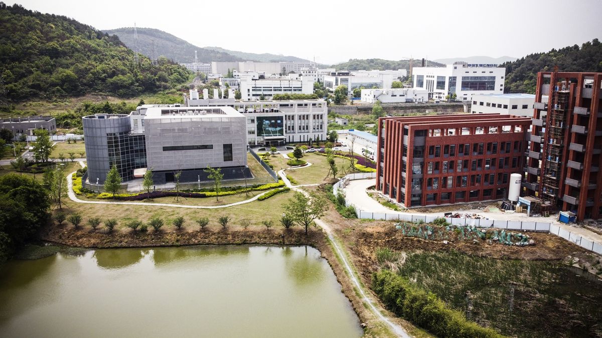Why these scientists still doubt the coronavirus leaked from
a Chinese lab 1