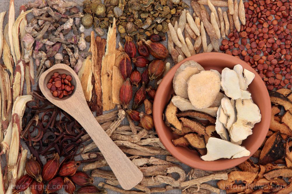 Here's some good news: Traditional Chinese Medicine could
help prevent coronavirus infections 1