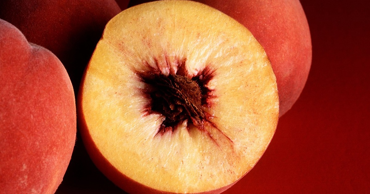 Health Authority Advises Oregonians to Stop Licking Anuses Amid COVID-19 Pandemic 1