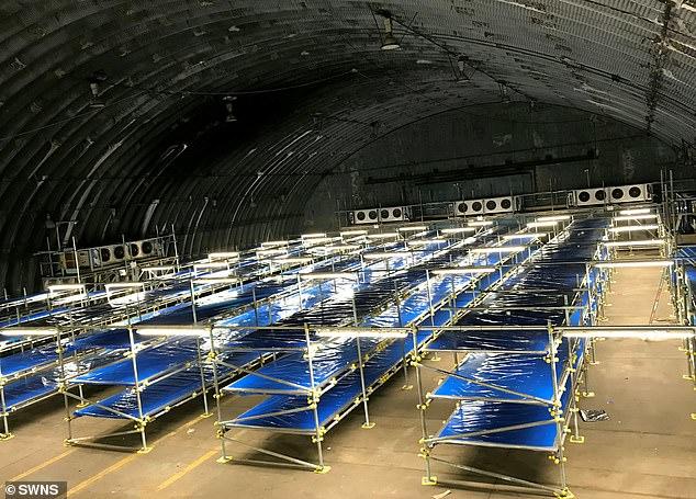 Sweden Resorts To Storing Bodies At Ice-Rinks As COVID-19 Deaths Soar 1