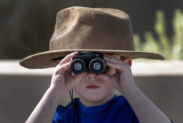 Coronavirus: 7 cool Bay Area things to do at home Easter weekend, April 10-12 1