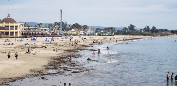 Beach brawl! California wrestles over beach access amid
coronavirus pandemic 1