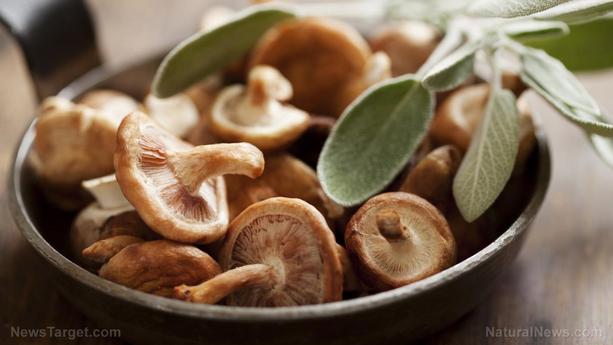 5 Natural immunity boosters to help you stay healthy during
the coronavirus outbreak 1