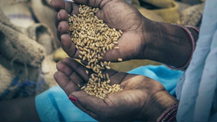 UN Admits COVID-19 Pandemic Could Spark Famines Of “Biblical
Proportions” 1