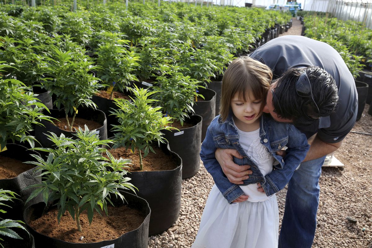 Charlotte Figi, girl whose epilepsy treatment sparked CBD movement, dies at 13 of probable coronavirus 1 Charlotte Figi, girl whose epilepsy treatment sparked CBD movement, dies at 13 of probable coronavirus 1