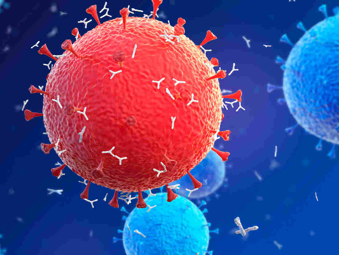 A Next-Generation Coronavirus Test Raises Hopes And
Concerns 1