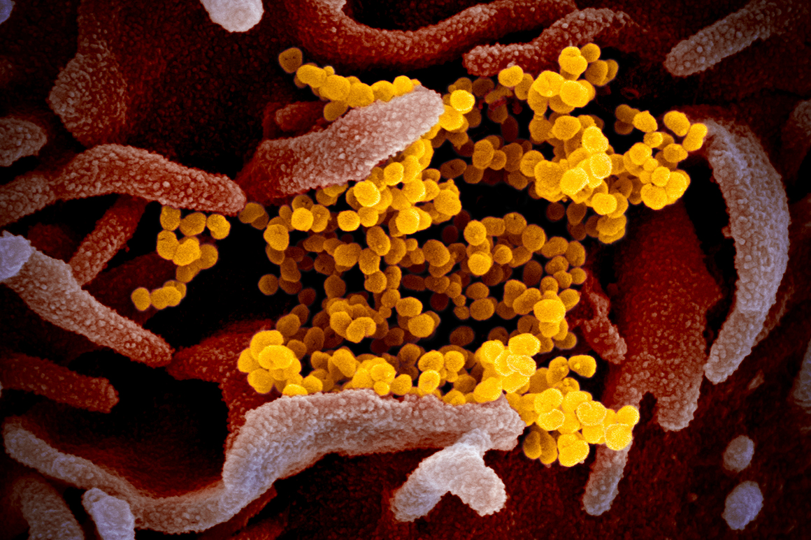 U.S. coronavirus case count passes 7 million 1