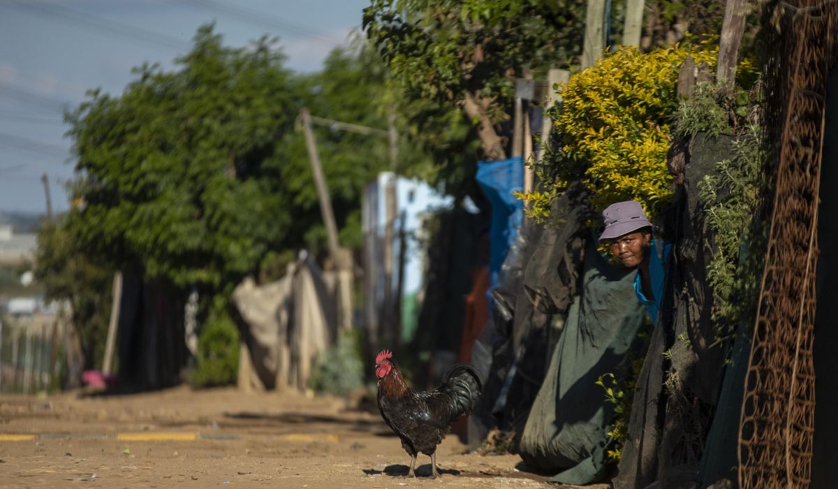 Africa could see 300,000 coronavirus deaths this
year 1