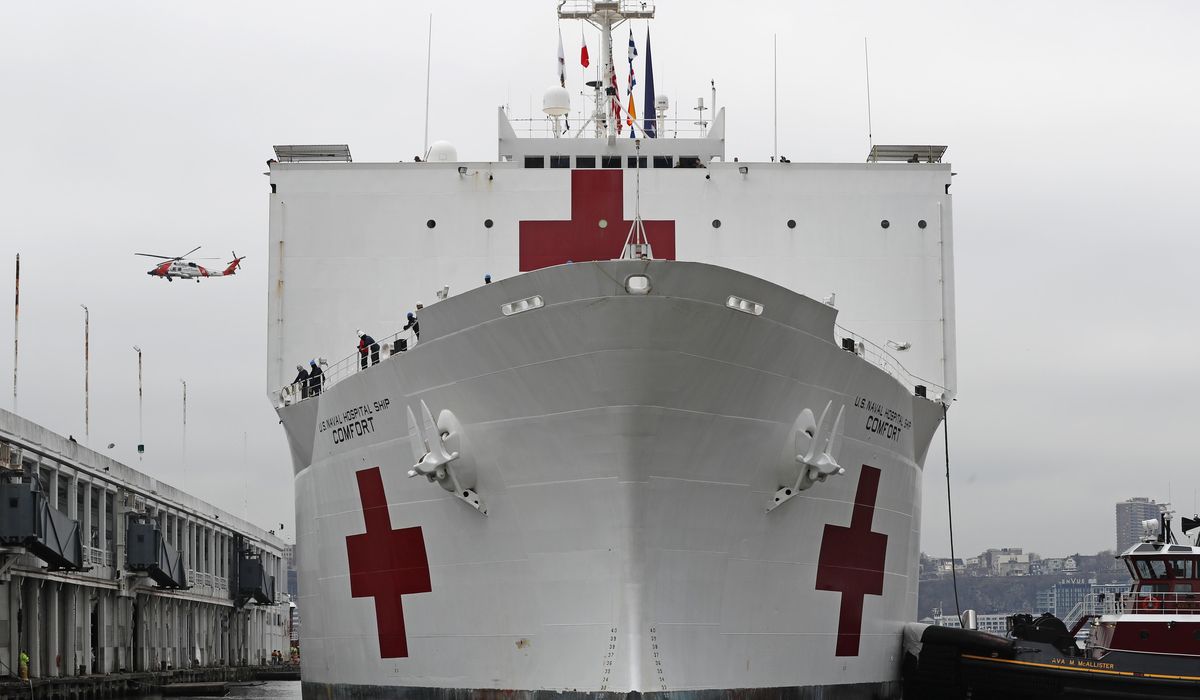 Navy hospital ships treating non-COVID-19 patients -- but that could soon change 1
