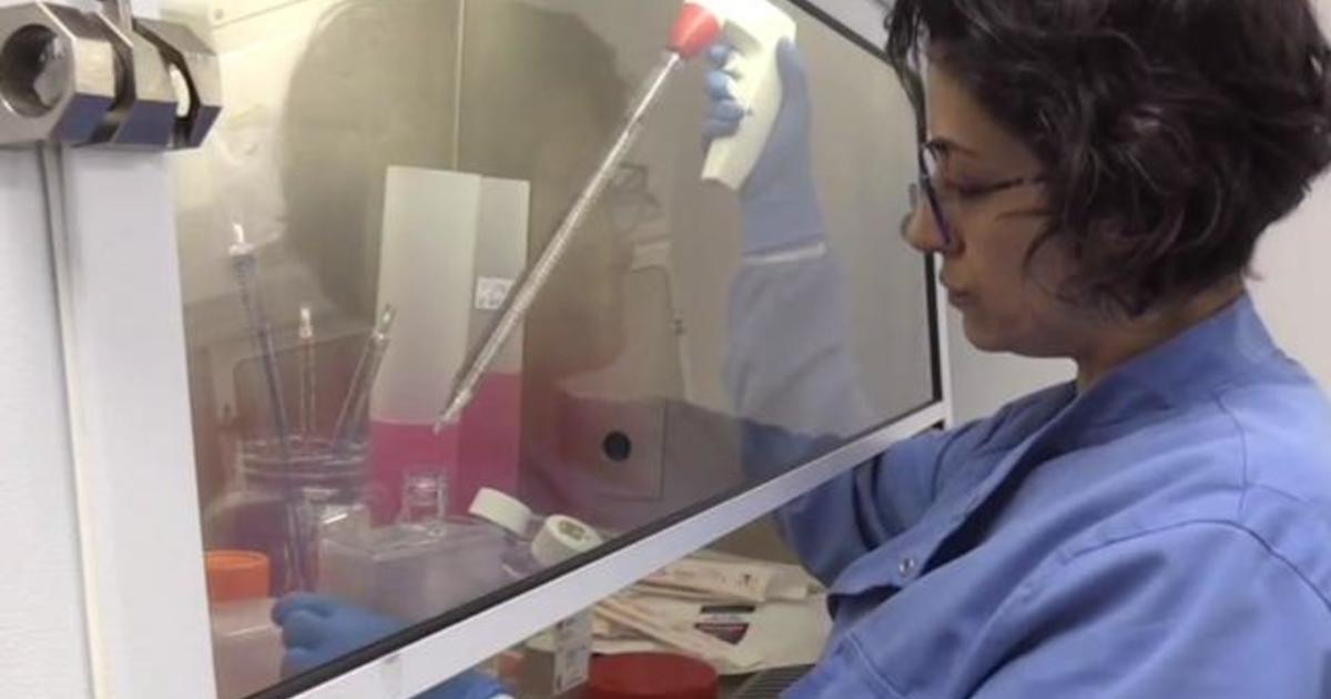 Oxford says coronavirus vaccine could be ready by
September 1