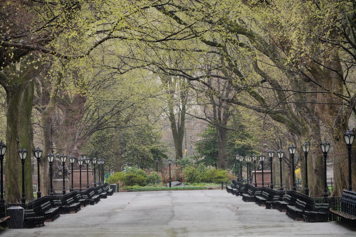 NYC to begin temporarily burying coronavirus victims in local parks 1 NYC to begin temporarily burying coronavirus victims in local parks 1