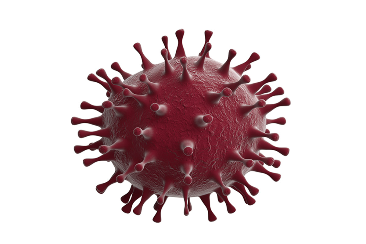 Florida couple, married 51 years, die of coronavirus six minutes apart 1