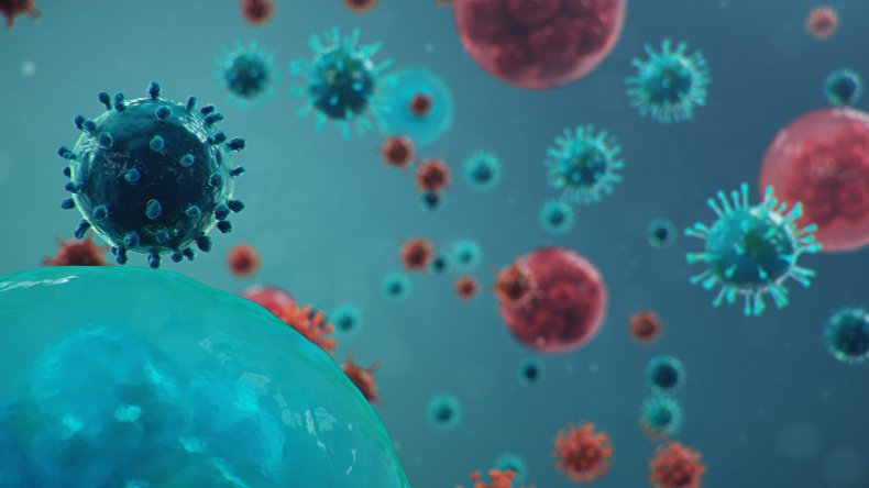 Coronavirus Traces Found in Massachusetts Wastewater at Levels Far Higher Than Expected 1