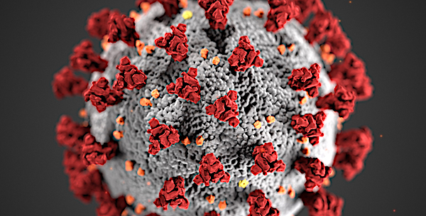 Church leader who called coronavirus punishment for 'evil'
of same-sex marriage gets COVID-19 1