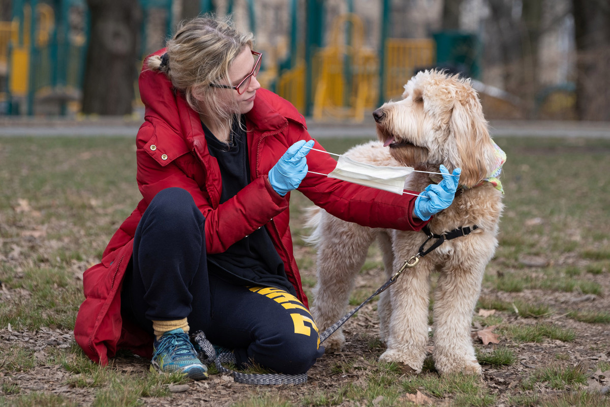 CDC extends coronavirus social-distancing guidelines to
pets 1