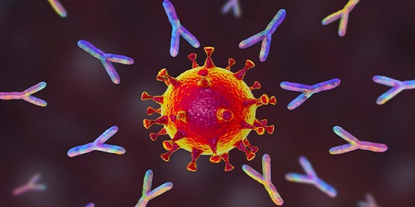 Positive antibody tests 'mistakenly' included when reporting
new positive COVID-19 cases to CDC 1