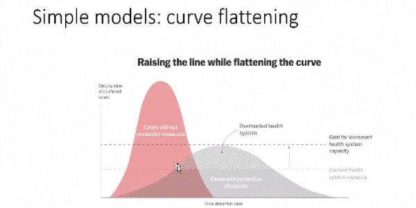 Ex-NYT reporter sounds alarm over flawed coronavirus models that have tossed economy into 'freefall' 1