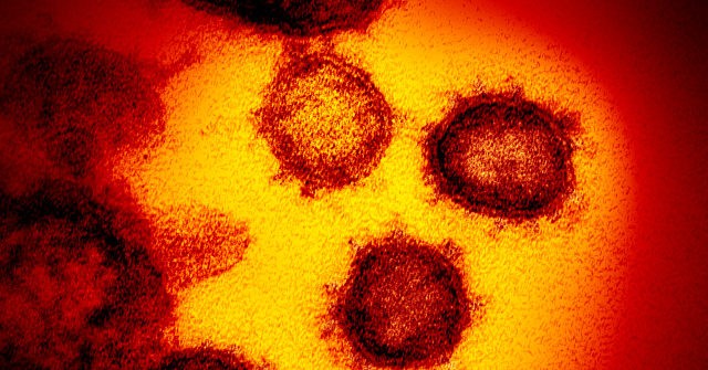 Report: China Rejects Calls for Independent Investigation
into Coronavirus Origins 1