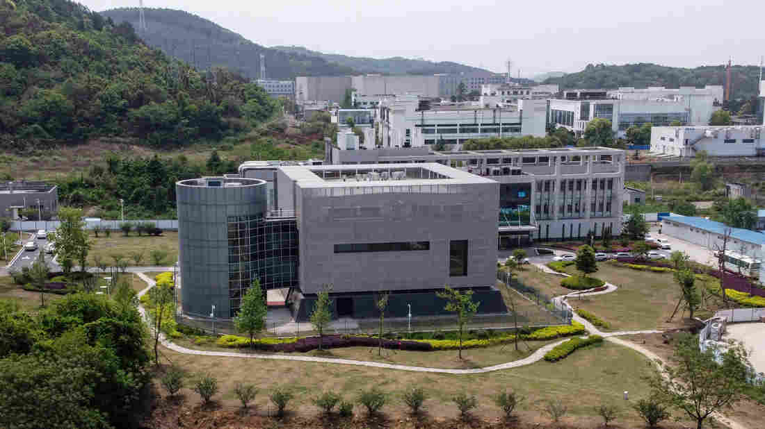 Virus Researchers Cast Doubt On Theory Of Coronavirus Lab
Accident 1