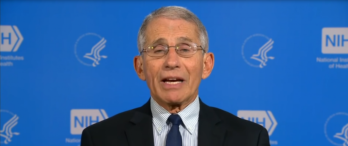 Germany’s Coronavirus Response Shows Bureaucrats Like Fauci Are the Problem 1