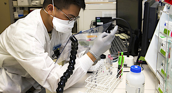 Coronavirus pandemic halts climate research 1