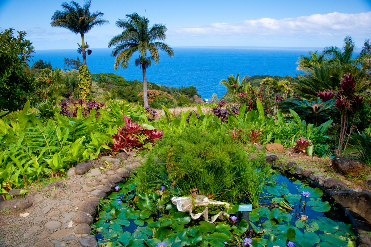 New Yorkers nab Hawaii vacation rentals amid coronavirus fears 1