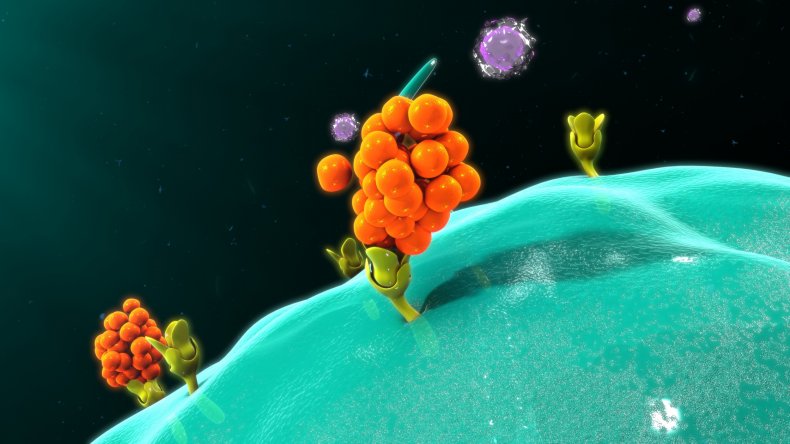 'Cytokine Storms' Seen in Some COVID-19 Patients Could Be
Halted by Specially Developed Proteins, Scientists Say 1