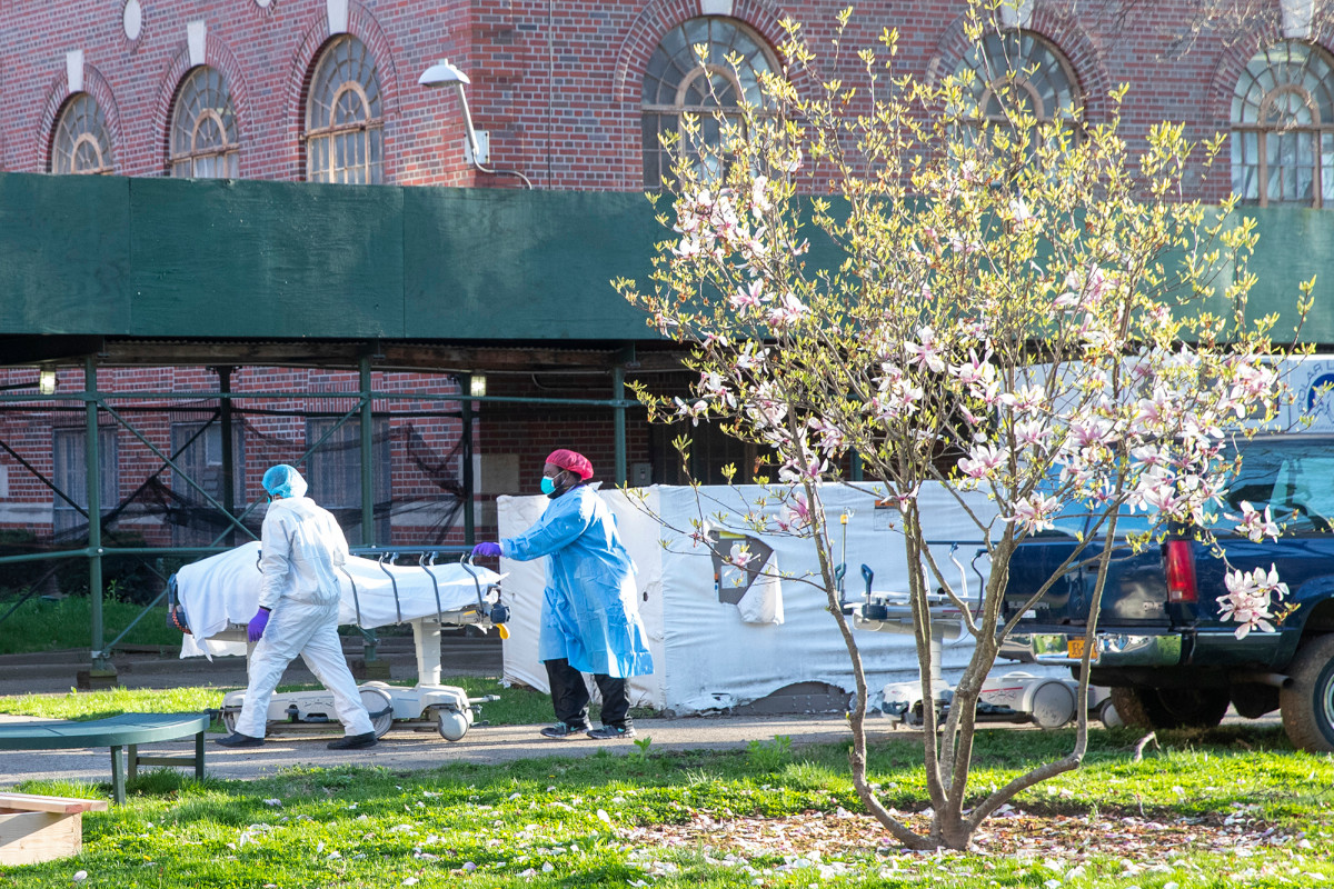 Coronavirus kills 1,000 in NYC in just 36 hours 1