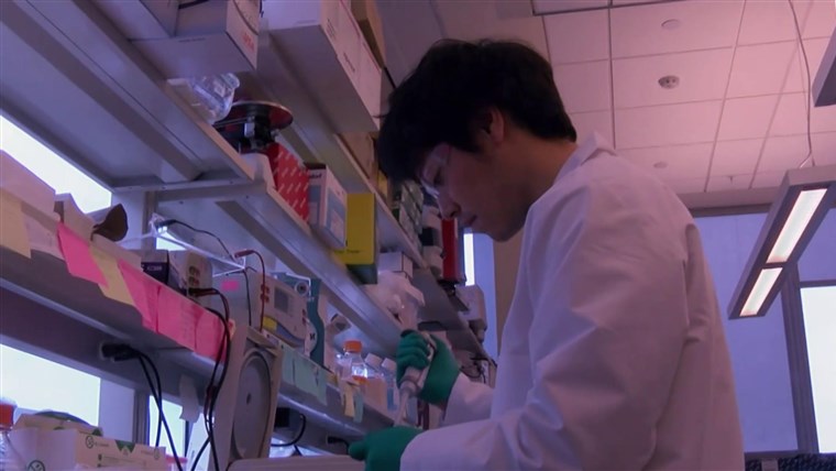 2nd coronavirus vaccine trial begins in the U.S., with a pinch and a zap 1