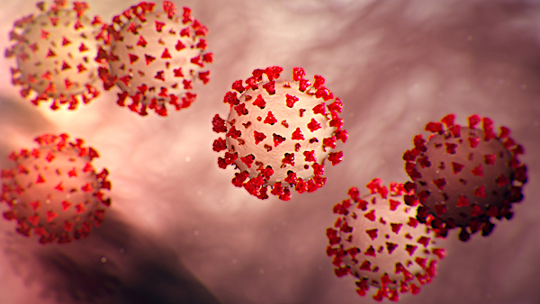 Signs of stabilization arrive in coronavirus war 1