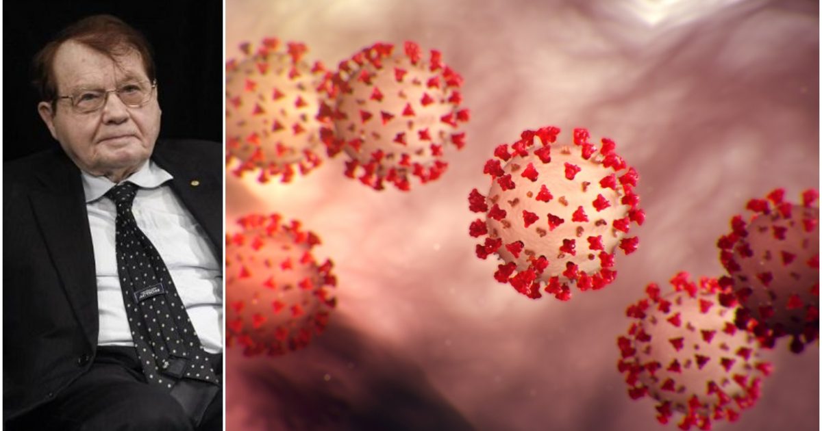 Nobel Prize Winning Scientist Claims Coronavirus Came From
Wuhan Laboratory, Contains HIV Inserts 1