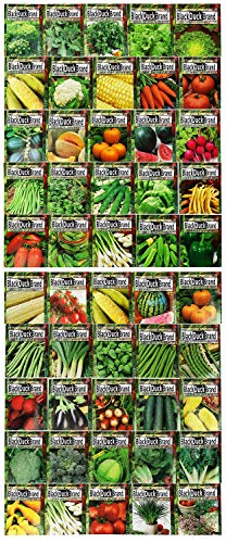 Premium Herbs and Vegetables Seeds - 50 Pack