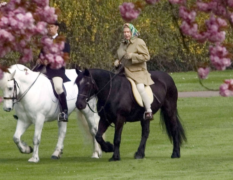 Queen Elizabeth II Will Have Stopped Horse Riding During Coronavirus Lockdown, Says Former Press Secretary 1