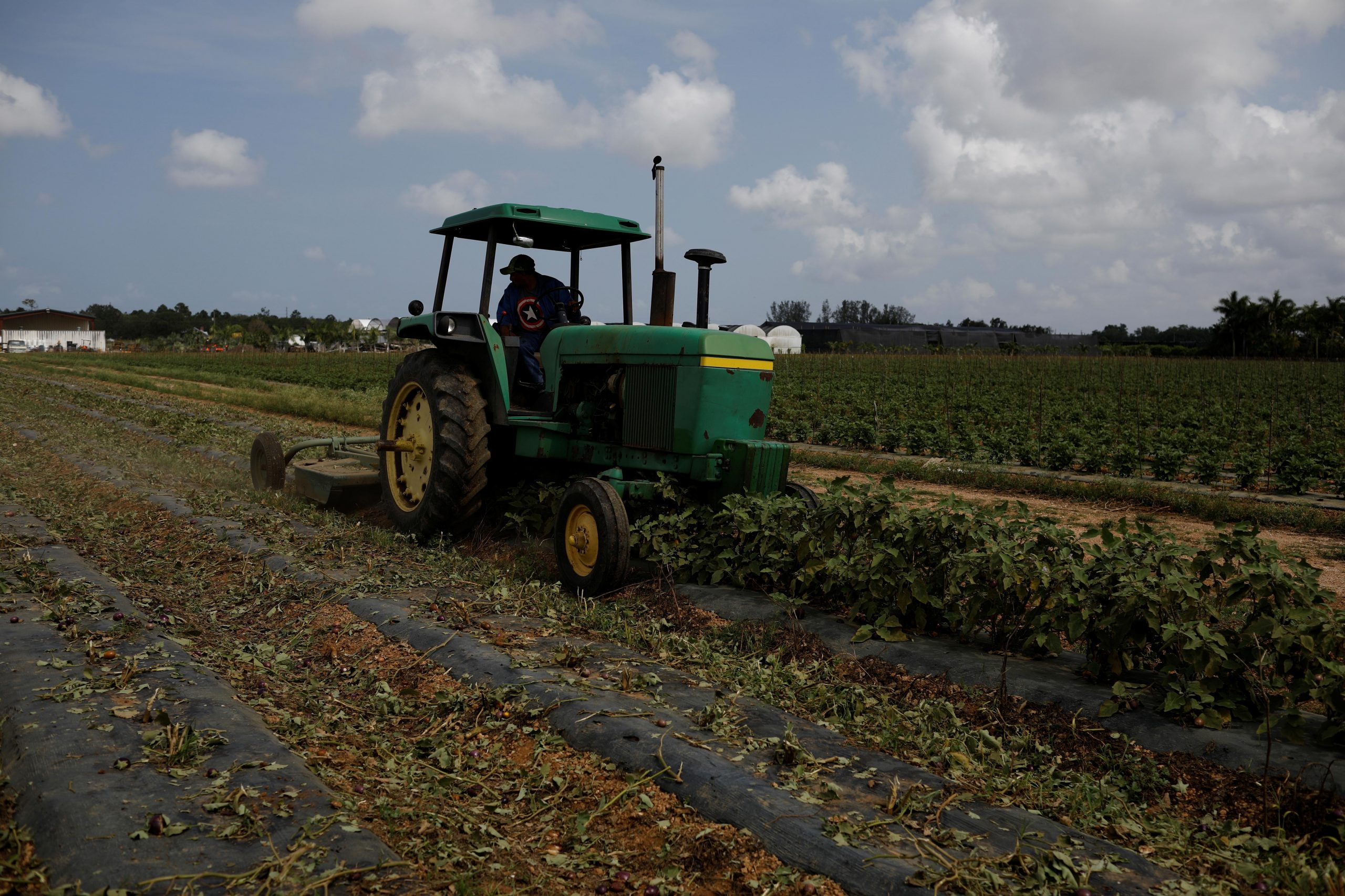 U.S. announces $19 billion coronavirus aid for farmers, food
buys for poor 1