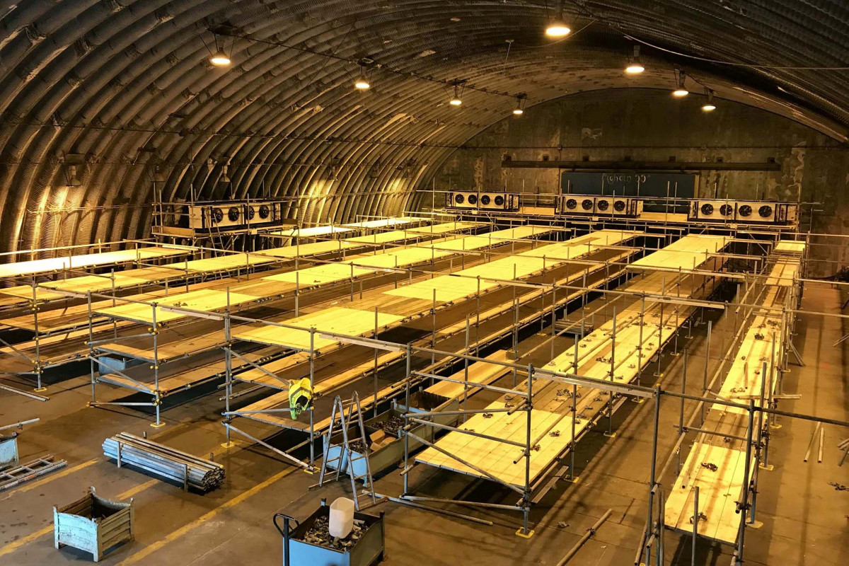 Chilling video shows UK hangars made into morgue for coronavirus victims 1