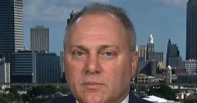 Scalise on Violent Protests Around U.S.: 'Unbelievable'
Mayors Are Letting Their Cities Burn 1