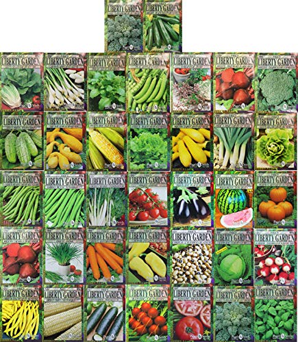 Premium Herbs and Vegetables Seeds - 37 Pack