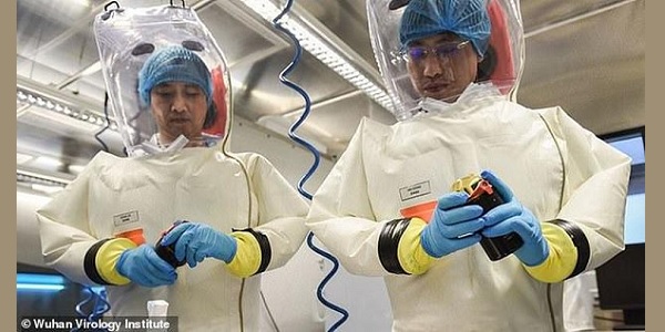 Renowned microbiologist claims Wuhan lab 'did absolutely
crazy things' with coronavirus 1