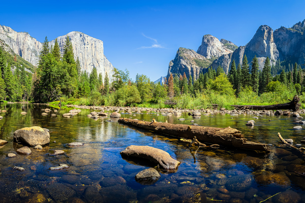 Yosemite National Park sees abundance of wildlife as coronavirus keeps tourists away 1