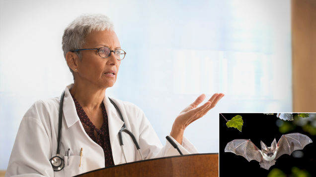 Health Experts Say Coronavirus Originated In Promiscuous Bat
Who Slept Around A Lot 1 Health Experts Say Coronavirus Originated In Promiscuous Bat
Who Slept Around A Lot 1
