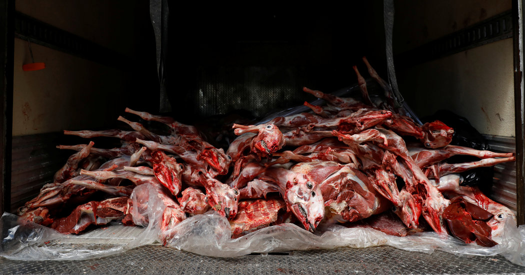 The Coronavirus and a World Without Meat 1