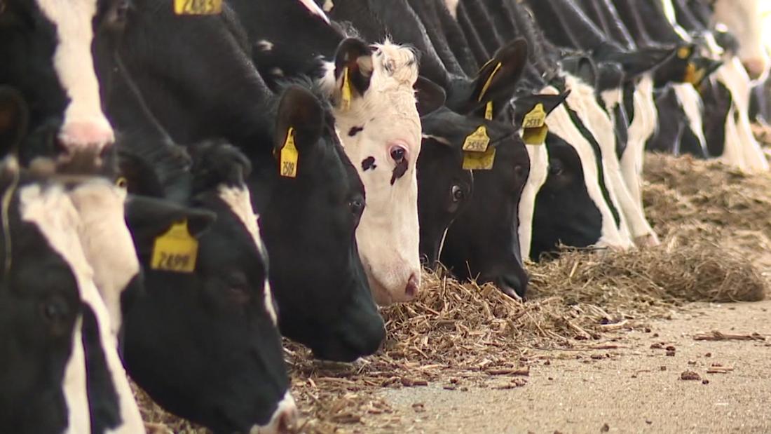 Farmers are still waiting for $19 billion in coronavirus
aid 1