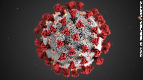 Fauci donates his 3D model of the coronavirus to the
Smithsonian 1