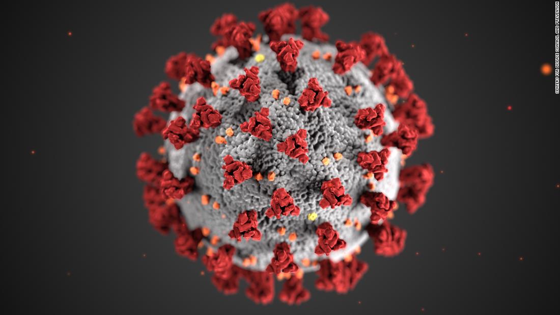 WHO says coronavirus is not mutating, but that doesn't mean
it is not dangerous 1