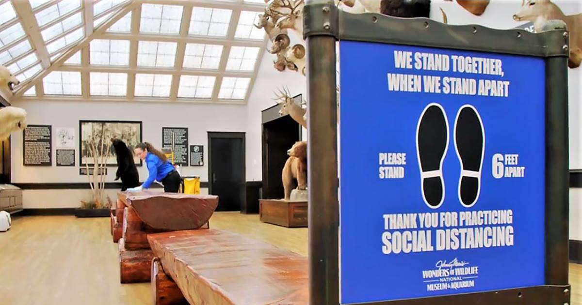 State of the art: How museums are preparing to open amid
coronavirus crisis 1