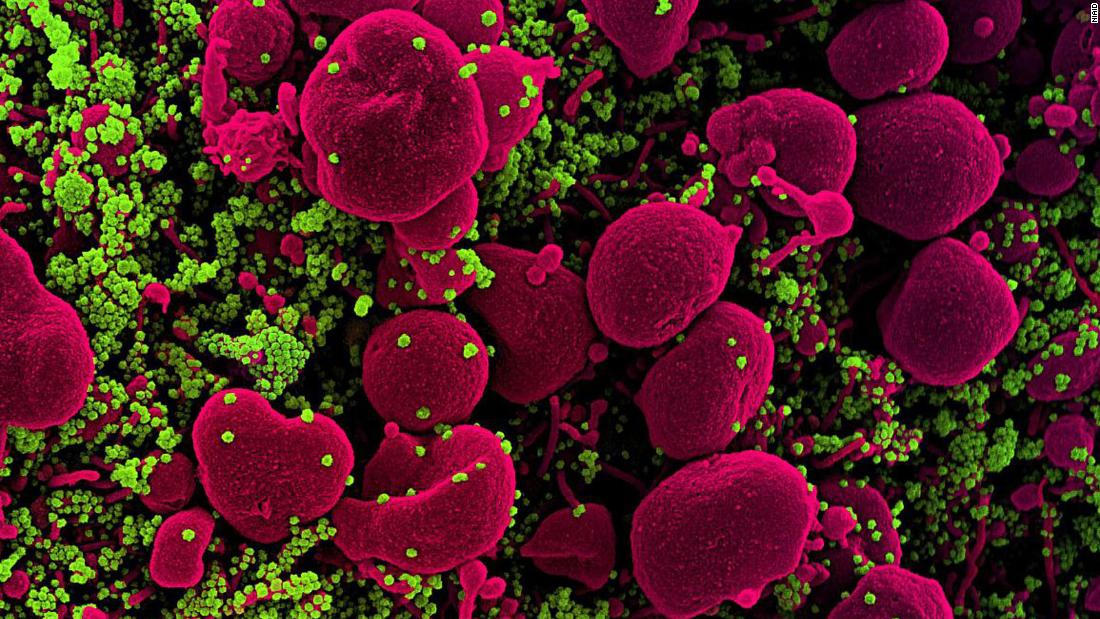 What we know -- and still don't know -- about the
coronavirus 1