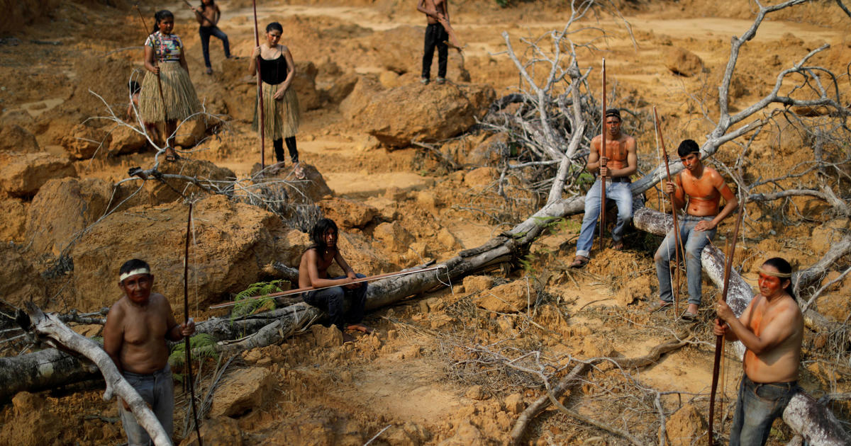 Destruction of Amazon rainforest accelerates amid
coronavirus 1