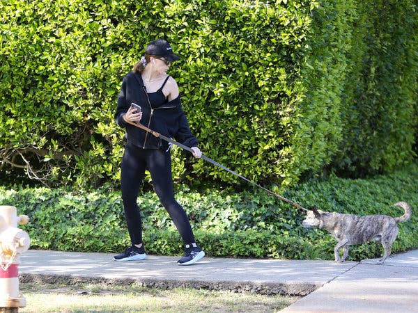 What Do the Paparazzi Do When the Stars Are
Quarantined? 1